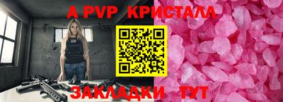 прущие грибы Гусиноозёрск
